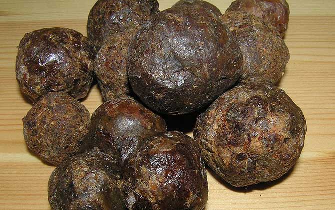 蜂膠的功效與作用及食用方法 蜂膠