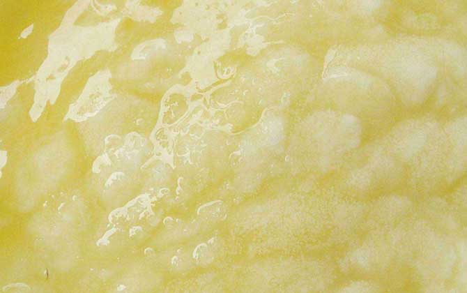 最新蜂王漿價格多少錢一斤? 蜂王漿