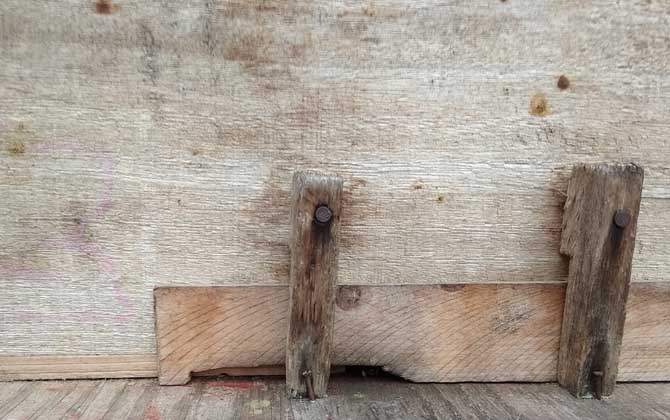 中蜂用什么蜂箱養最好? 中蜂用什么蜂箱