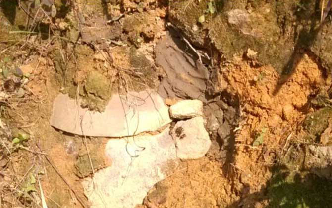 誘蜂洞挖在什么地方好? 誘蜂洞