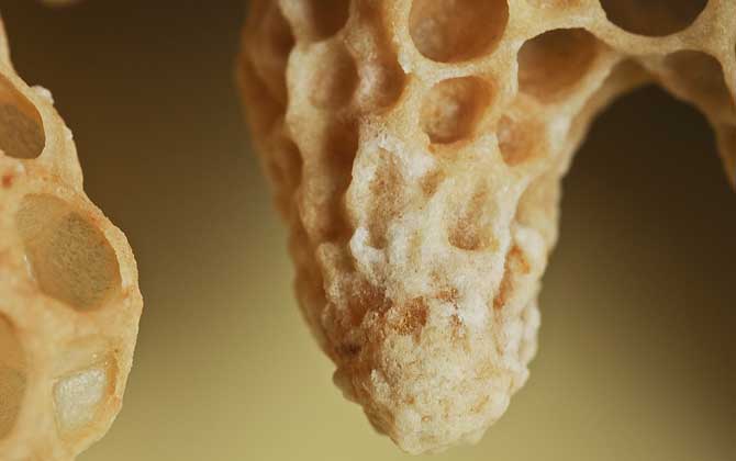 蜜蜂失王后怎樣造王臺? 王臺