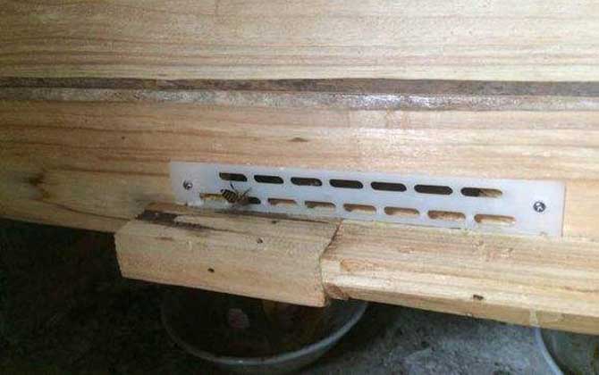 養(yǎng)蜜蜂專用工具有哪些?主要是蜂箱,其他還有隔王板、囚王籠等! 防逃片