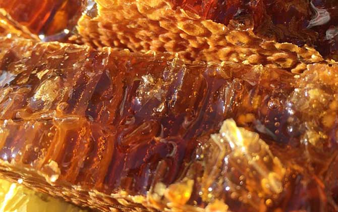 蜂蜜美容的最佳方法,掌握這些常識(shí)和竅門,美容效果將事半功倍! 蜂蜜美容