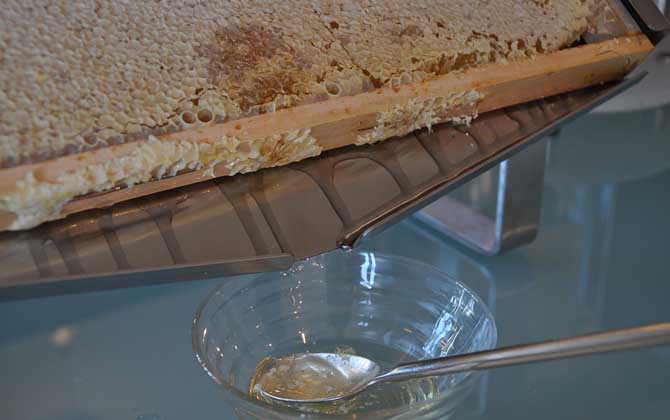 蜂蜜美容是真的嗎?答案是肯定的,更被譽(yù)為“可食用的美容劑”! 蜂蜜美容