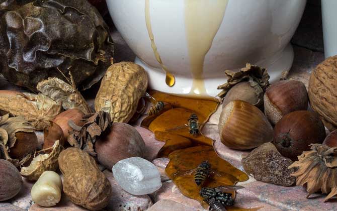 蜂蜜放了10年還能吃嗎?取決于蜂蜜是否變質(zhì),變質(zhì)的蜂蜜不能吃! 蜂蜜