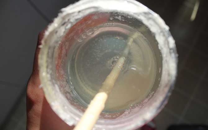 假蜂蜜的特點有哪些?除了外觀和口感,能不能結晶也是重要特征! 蜂蜜