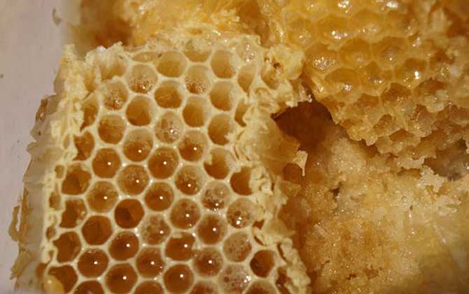 蜂巢蜜一般多少錢一斤?最少都要60元,低于60元可能是假蜂巢蜜! 蜂巢蜜