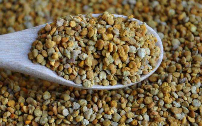 什么人群不適合吃花粉?這6種人不能吃花粉,否則反而影響健康! 花粉