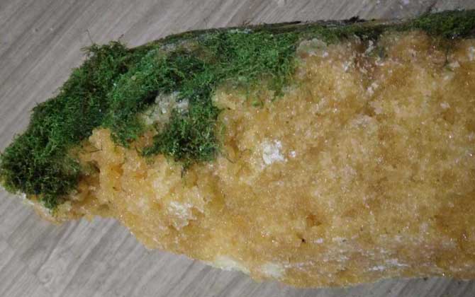 石蜜是什么東西?和蜂蜜沒有任何關系,騙子常用來欺騙消費者! 石蜜