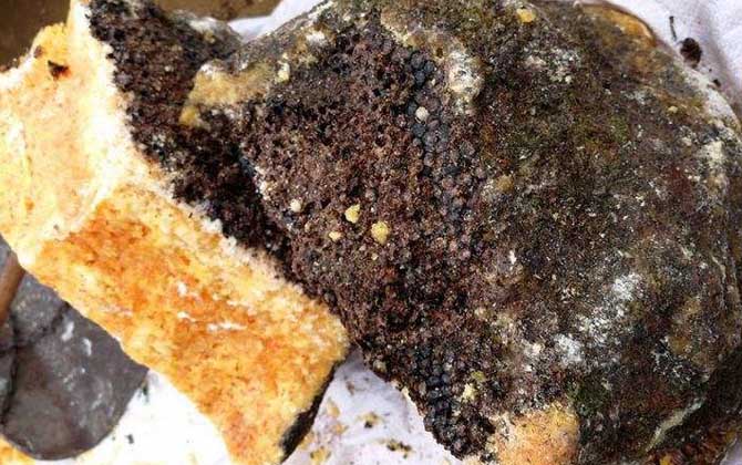 石蜜是什么東西?和蜂蜜沒有任何關系,騙子常用來欺騙消費者! 石蜜