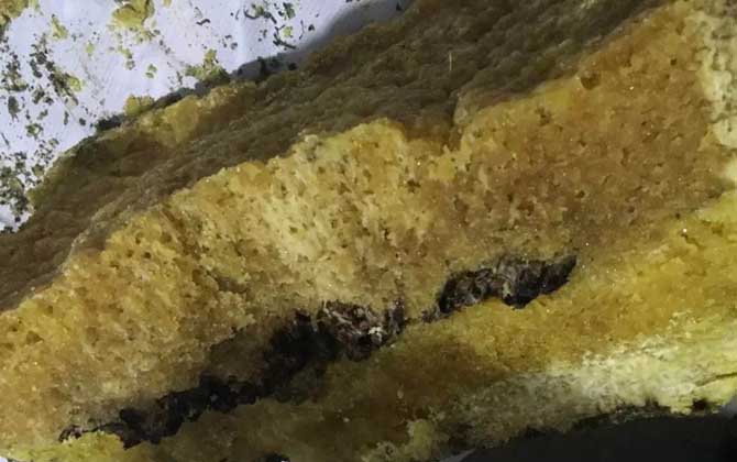 石蜜是什么東西?和蜂蜜沒有任何關系,騙子常用來欺騙消費者! 石蜜