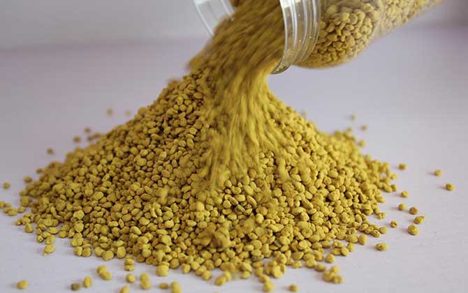 油菜花粉的功效與作用,經常吃油菜花粉,這7個好處跑不了! 油菜花粉