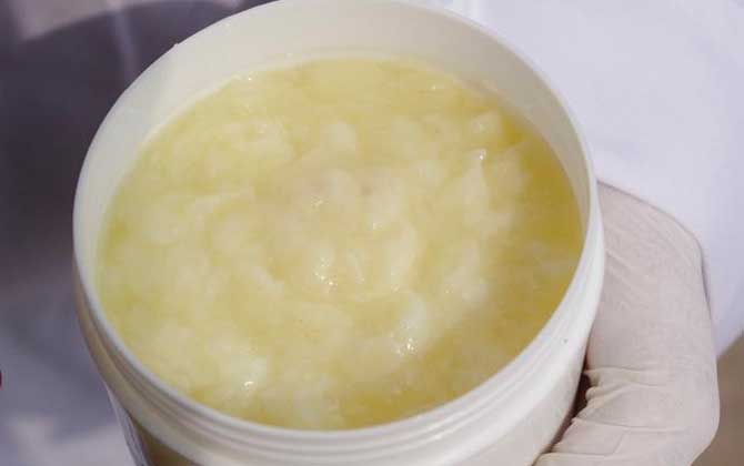 蜂王漿的副作用與禁忌,絕對不能過量食用,這4類人也要少吃! 蜂王漿