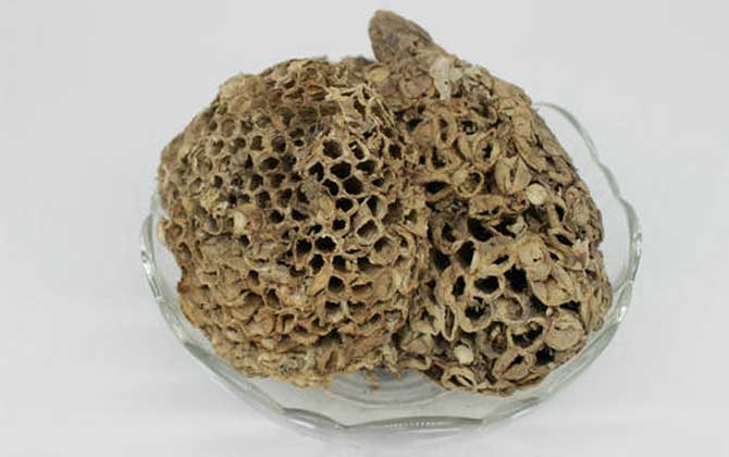 蜂房怎樣吃不會中毒?蜂房有小毒,必須在醫(yī)生的指導(dǎo)下服用! 蜂房