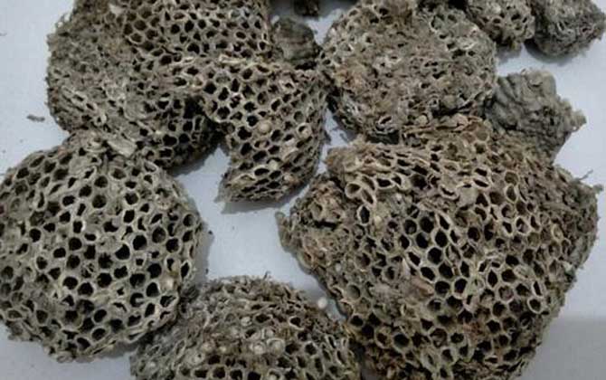 蜂房怎樣吃不會中毒?蜂房有小毒,必須在醫(yī)生的指導(dǎo)下服用! 蜂房