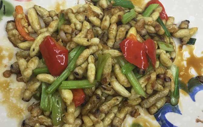 蜂蛹吃了有什么好處?不但能增強體質(zhì),還有美容養(yǎng)顏的效果! 蜂蛹