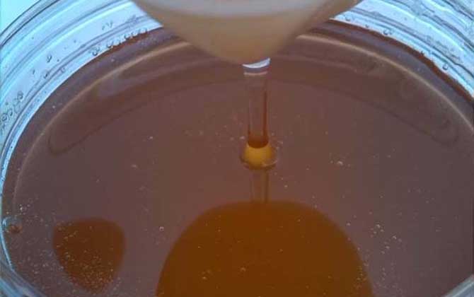 荊條蜜的功效與作用及食用方法 荊條蜜