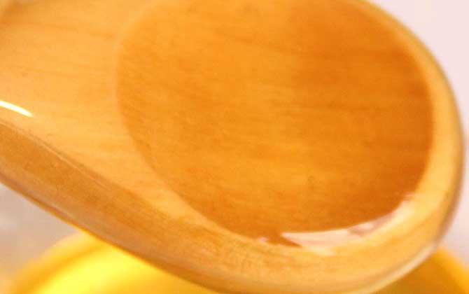 稀有蜜種的種類及圖片大全 黃芪蜜