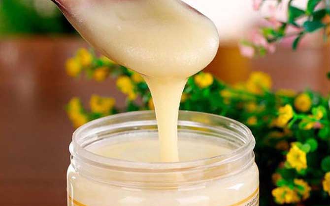 黑蜂蜂蜜的作用與功效及食用方法 黑蜂蜂蜜