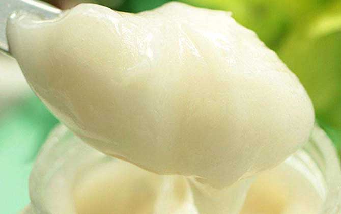 黑蜂蜂蜜的作用與功效及食用方法 黑蜂蜂蜜