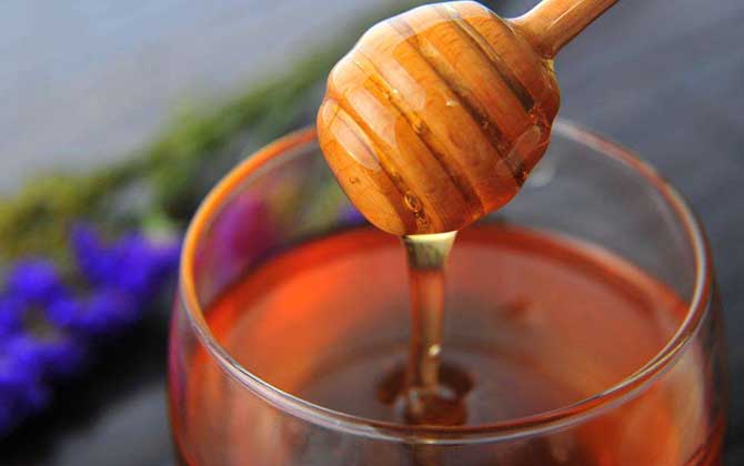 黑蜂蜂蜜的作用與功效及食用方法 黑蜂蜂蜜