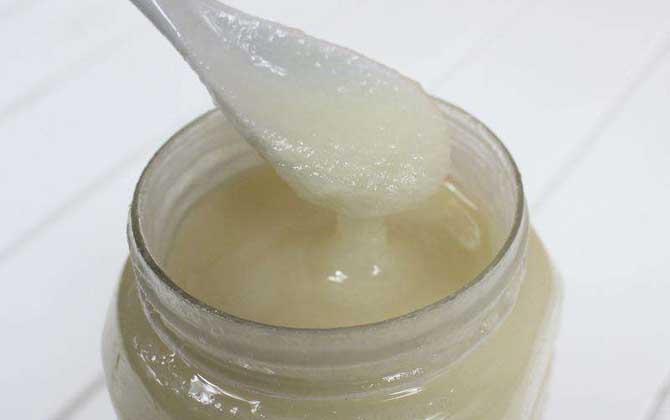 油菜花蜜的功效與作用及食用方法 油菜花蜜