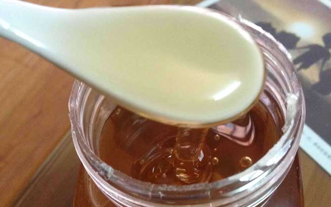 野菊花蜂蜜的功效與作用及食用方法 野菊花蜂蜜