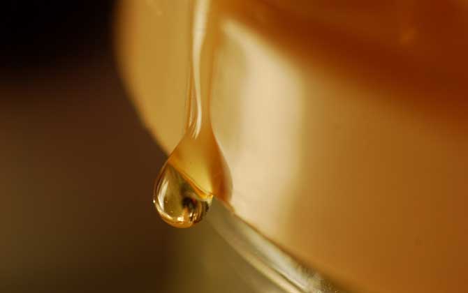 草木樨蜜的作用與功效及食用方法 草木樨蜜