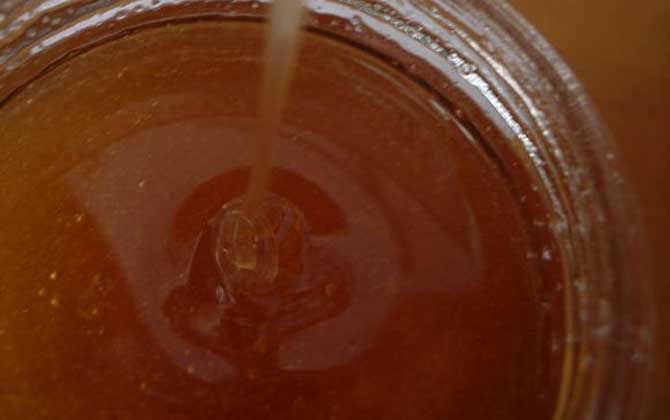 沙棗花蜜的功效與作用及食用方法 沙棗花蜜