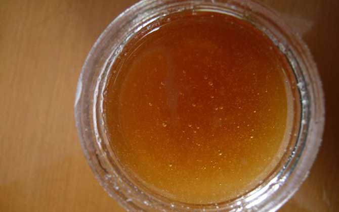 沙棗花蜜的功效與作用及食用方法 沙棗花蜜