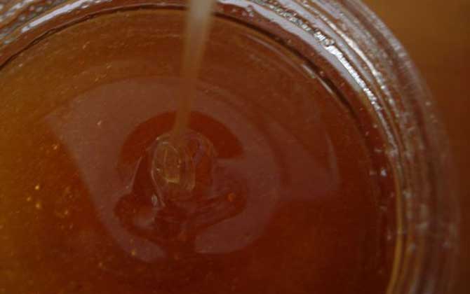 老瓜頭蜜的作用與功效及食用方法 老瓜頭蜜