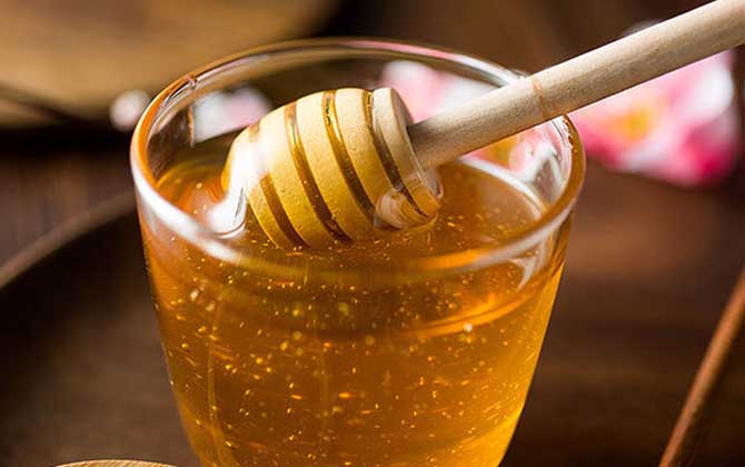 蒲公英蜜的作用與功效及食用方法 蒲公英蜜