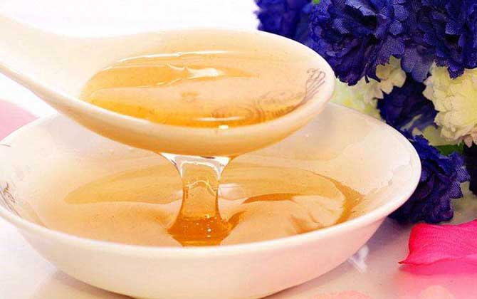 黃連蜜的作用與功效及食用方法 黃連蜜