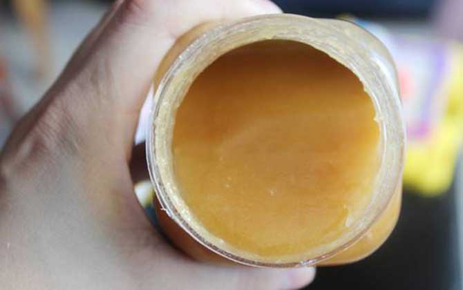 黃連蜜的作用與功效及食用方法 黃連蜜