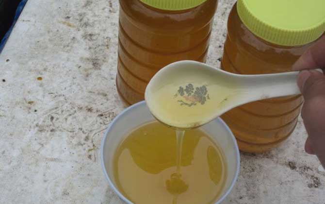 狼牙蜜的作用與功效及食用方法 狼牙蜜