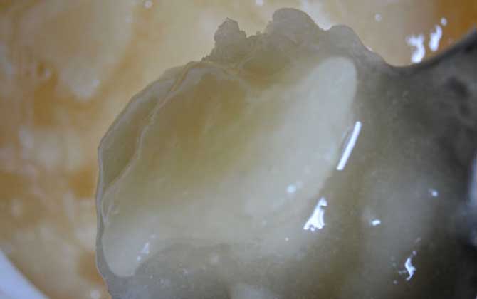 20元一斤蜂蜜是真的嗎? 蜂蜜