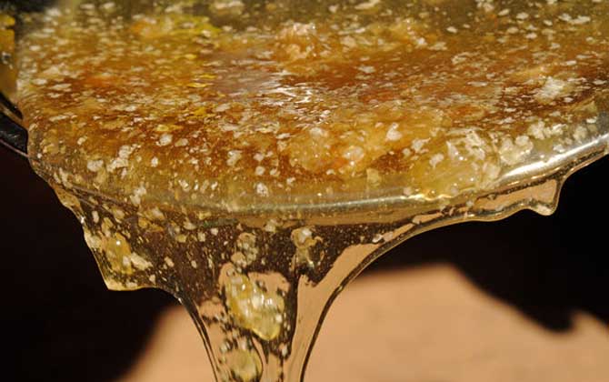 純天然蜂蜜多少錢一斤? 純天然蜂蜜