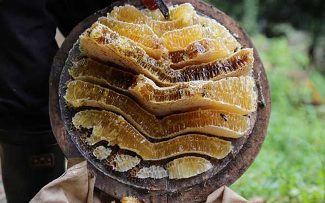 百花蜜價格多少錢一斤? 百花蜜