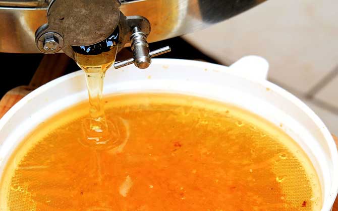 葵花蜜價(jià)格多少錢一斤? 葵花蜜