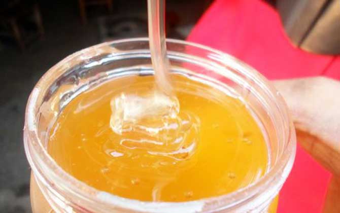 葵花蜜價(jià)格多少錢一斤? 葵花蜜