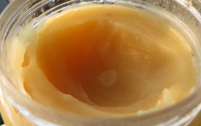 葵花蜜價(jià)格多少錢一斤? 葵花蜜