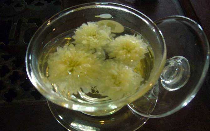 蜂蜜菊花茶的功效及簡(jiǎn)單做法 蜂蜜菊花茶