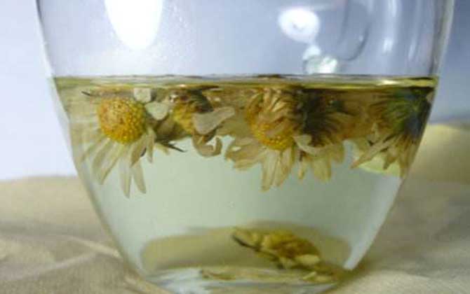 蜂蜜菊花茶的功效及簡(jiǎn)單做法 蜂蜜菊花茶