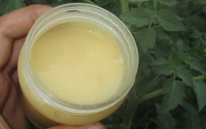 蜂蜜補(bǔ)水保濕最有效的方法 蜂蜜