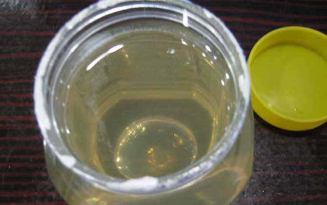 蜂蜜綠茶減肥原理及正確喝法 蜂蜜減肥