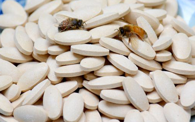 蜂王胎適合閉經的女人吃嗎? 蜂王胎