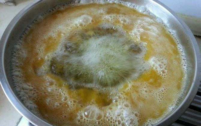 蜂蠟提純最簡單的方法 蜂蠟