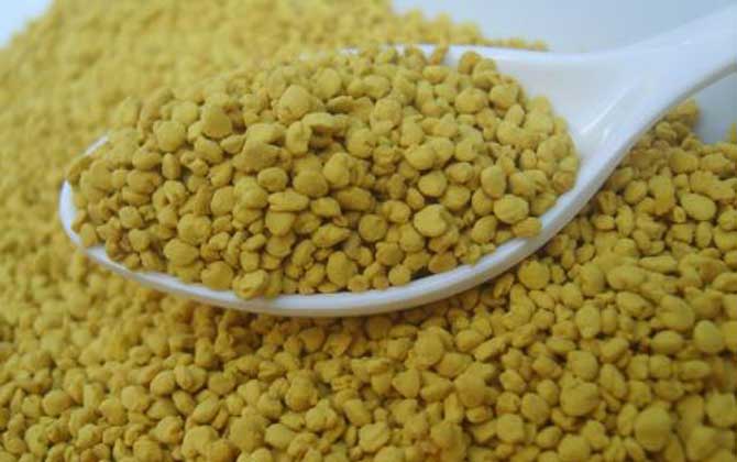 油菜花粉的功效與作用及食用方法 油菜花粉