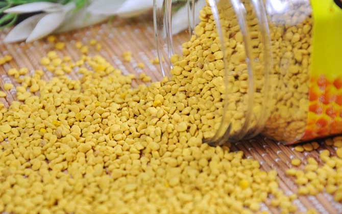 蜂花粉是怎么來的? 蜂花粉