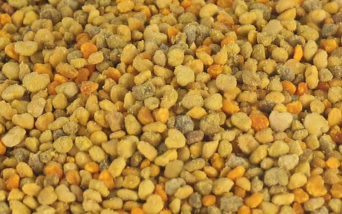 蜂花粉適宜什么人群吃? 蜂花粉